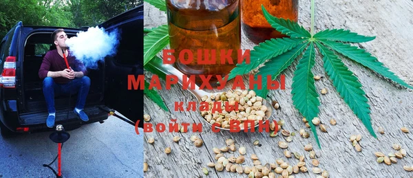 молекула духа Заволжье