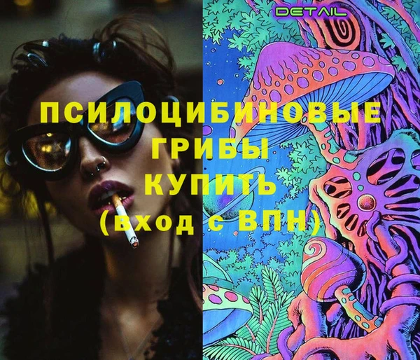 первитин Заводоуковск