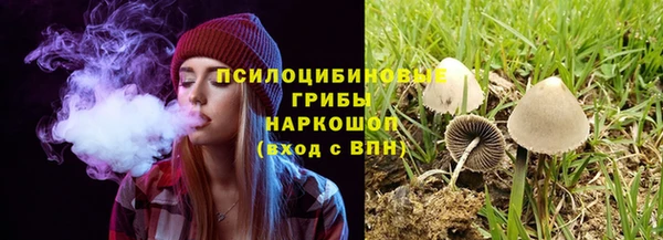 молекула духа Заволжье
